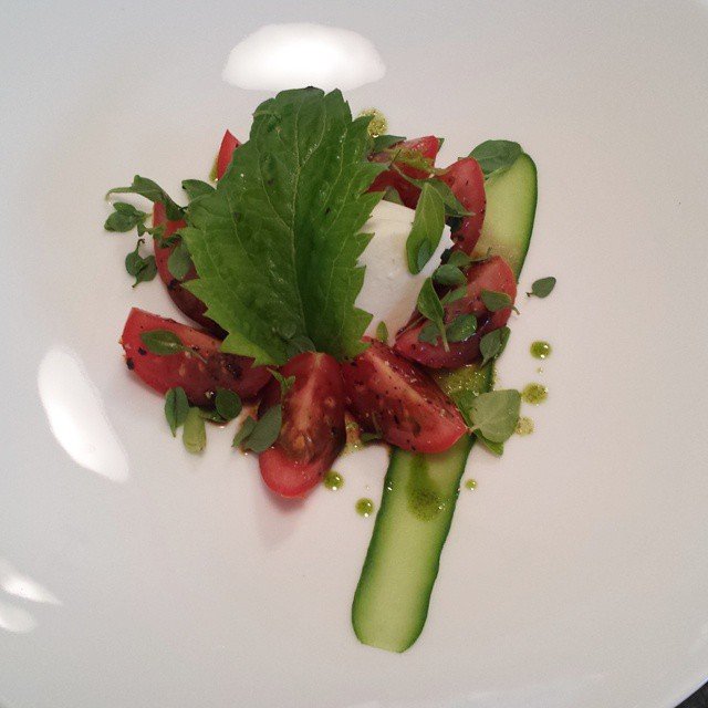 Tomato and herb salad